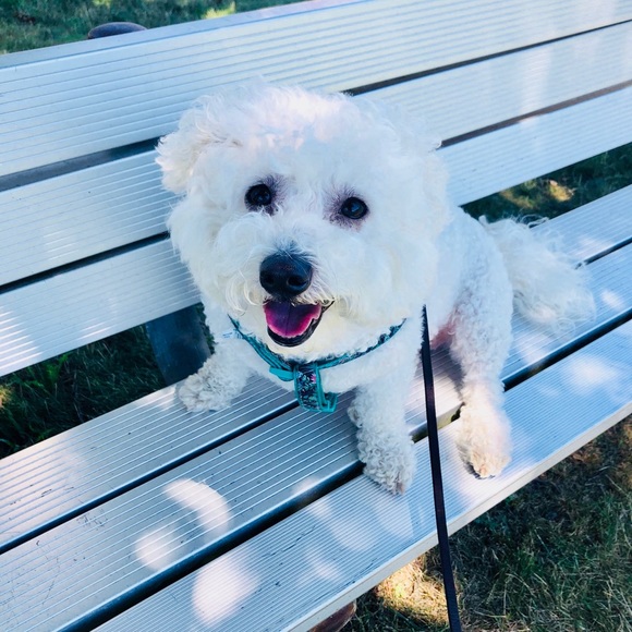 ????Meet Seller??I ? fashionable clothes????? - Picture 4 of 4